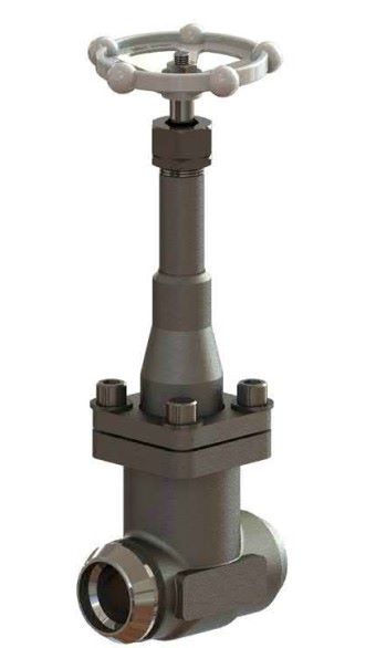 Cryogenic Gate Valves