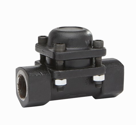 DM6/DM12 Steam Trap