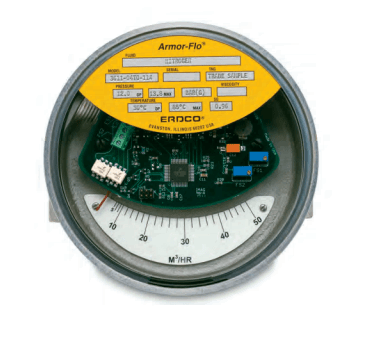 3600 Armor-FloTM meters with integral transmitter
