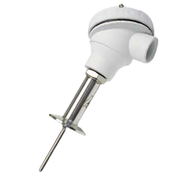 Intempco Sanitary RTDs